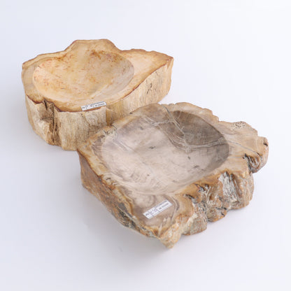 Petrified Wood Bowls Set of 2 - Expert Wholesale and Supplier of Wholesale Crystals & Bulk Gemstones, ["Bowls","Indonesia","Petrified Wood"]
