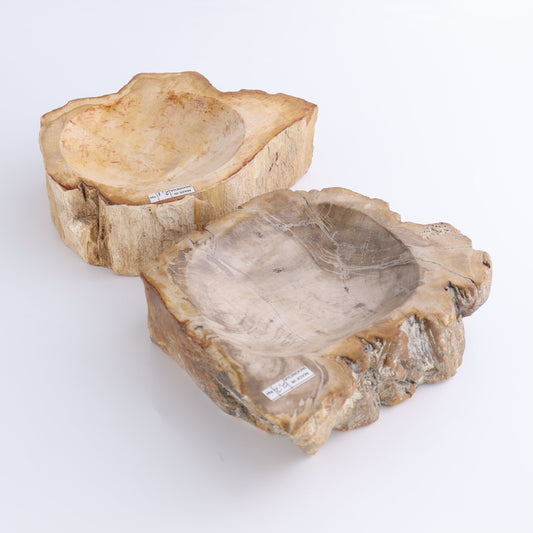 Petrified Wood Bowls Set of 2
