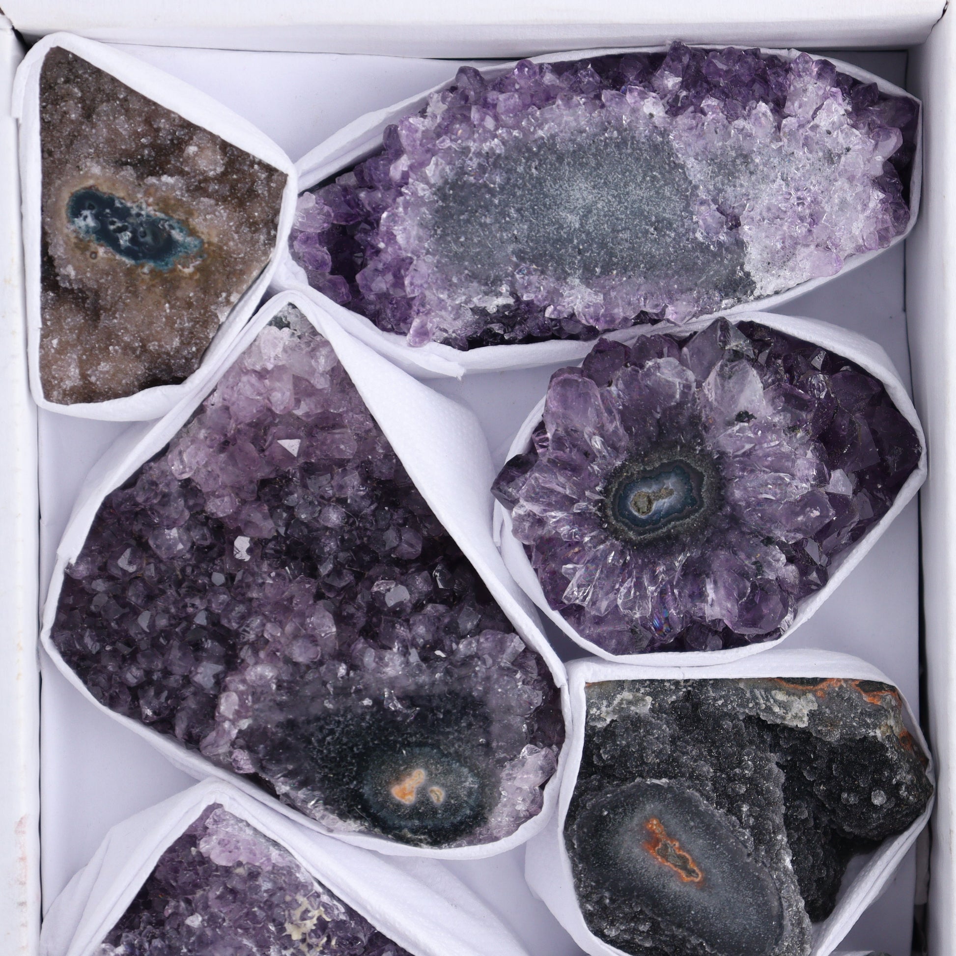 Uruguay Amethyst Clusters with "Eyes" Flat of 8 - Expert Wholesale and Supplier of Wholesale Crystals & Bulk Gemstones, []