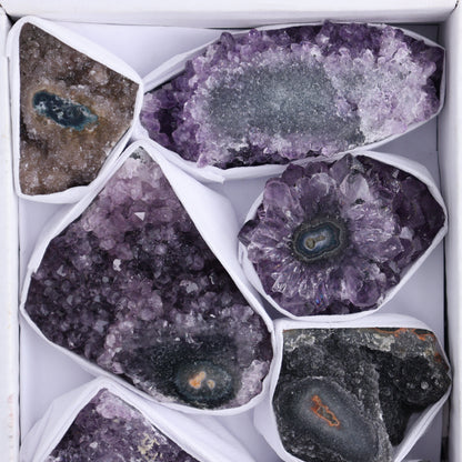Uruguay Amethyst Clusters with "Eyes" Flat of 8 - Expert Wholesale and Supplier of Wholesale Crystals & Bulk Gemstones, []