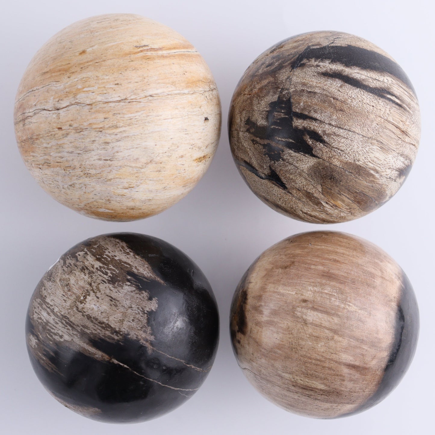Petrified Wood Spheres Set of 4 - Expert Wholesale and Supplier of Wholesale Crystals & Bulk Gemstones, ["Indonesia","Petrified Wood","Spheres"]