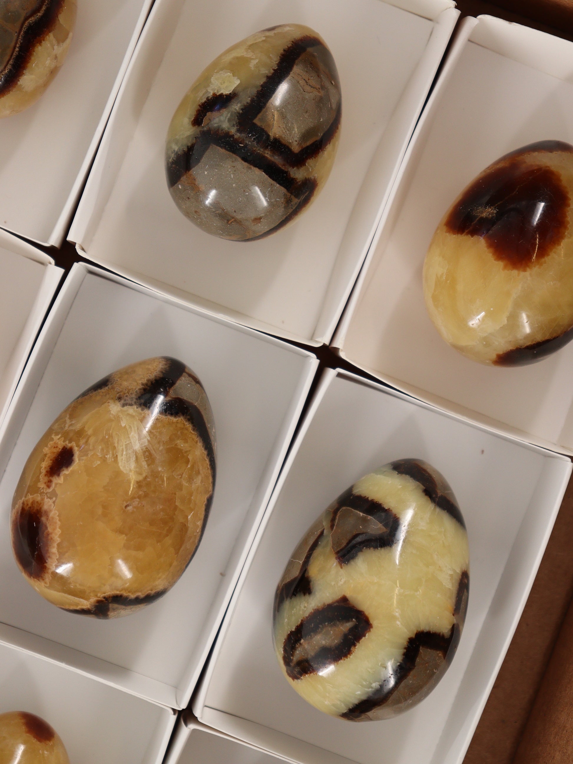 Septarian Eggs Set of 9 - Expert Wholesale and Supplier of Wholesale Crystals & Bulk Gemstones, []
