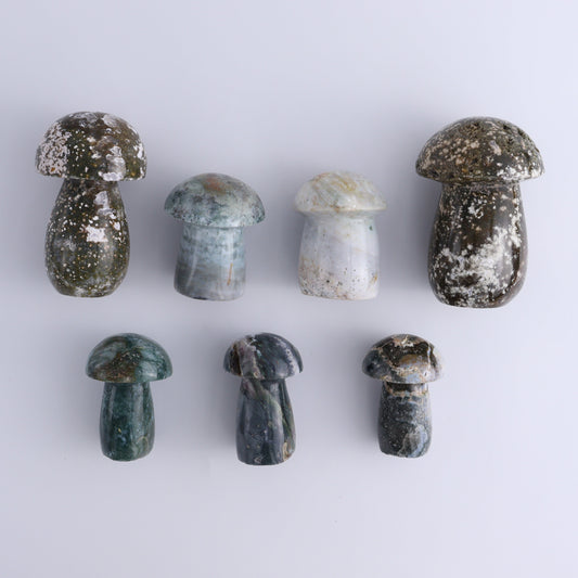 Ocean Jasper Mushrooms Set of 7 - Expert Wholesale and Supplier of Wholesale Crystals & Bulk Gemstones, ["jasper","Madagascar","Mushrooms","Ocean Jasper"]
