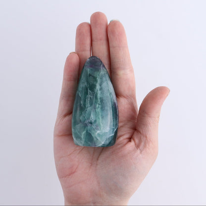 Fluorite Freeforms Set of 5