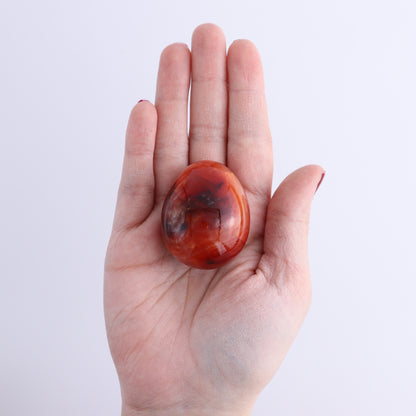 Carnelian Eggs Set of 12 - Expert Wholesale and Supplier of Wholesale Crystals & Bulk Gemstones, ["carnelian","Eggs","Madagascar"]