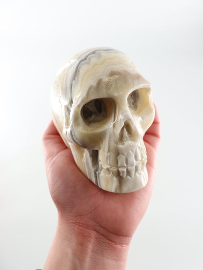 Onyx Skulls Set of 3 - Expert Wholesale and Supplier of Wholesale Crystals & Bulk Gemstones, []