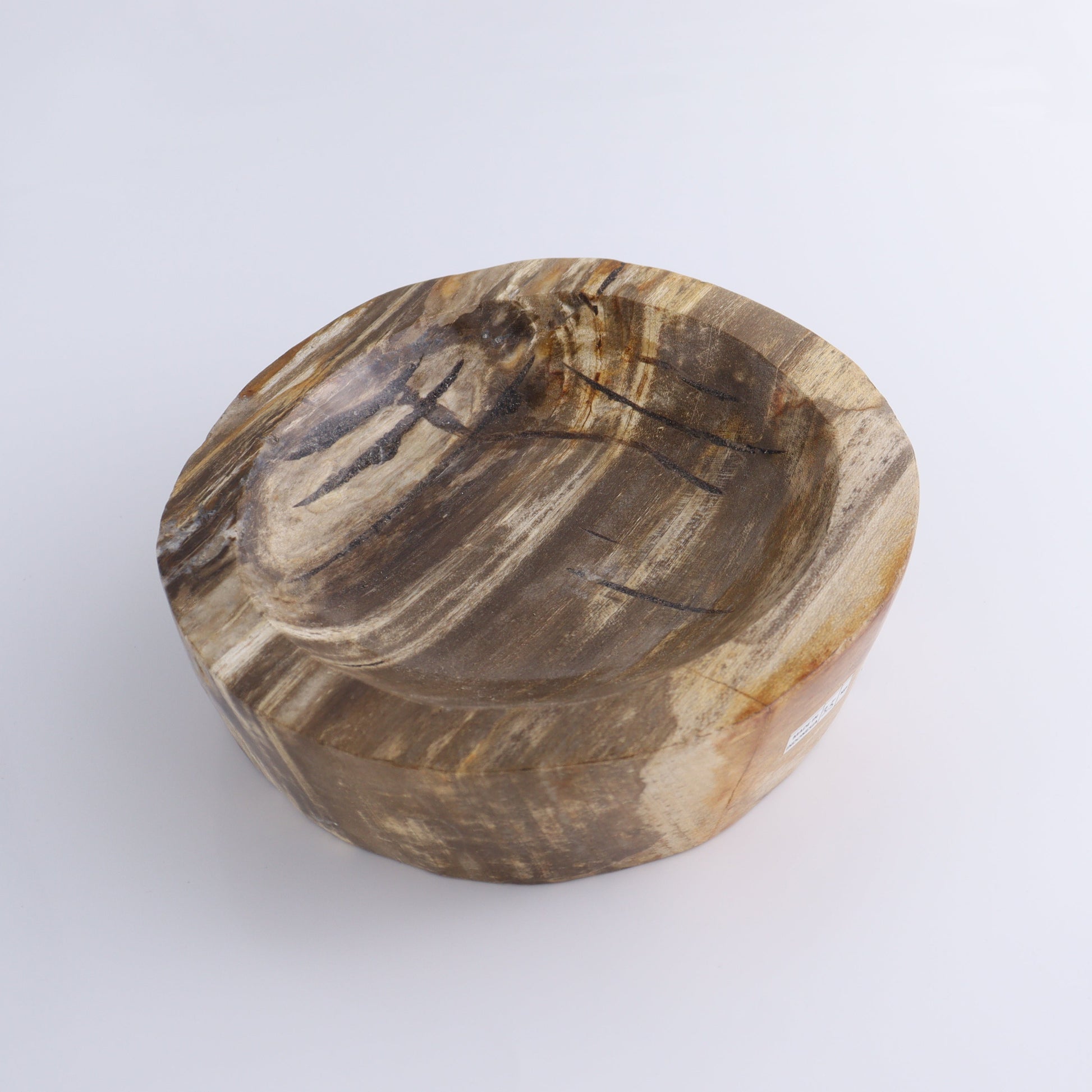 Petrified Wood Bowl - Expert Wholesale and Supplier of Wholesale Crystals & Bulk Gemstones, ["Bowls","Indonesia","Petrified Wood"]