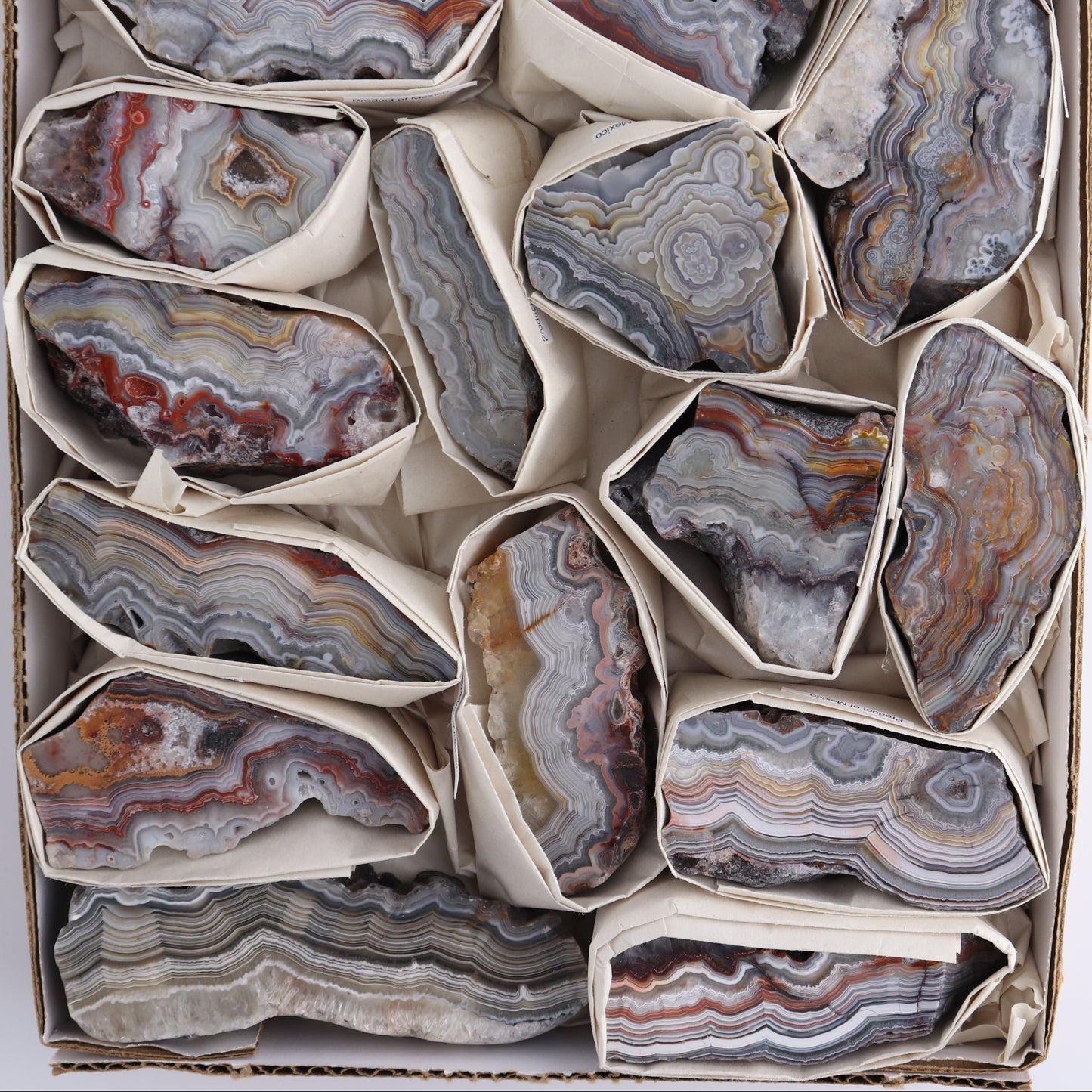 Crazy Lace Agate Flat of 17