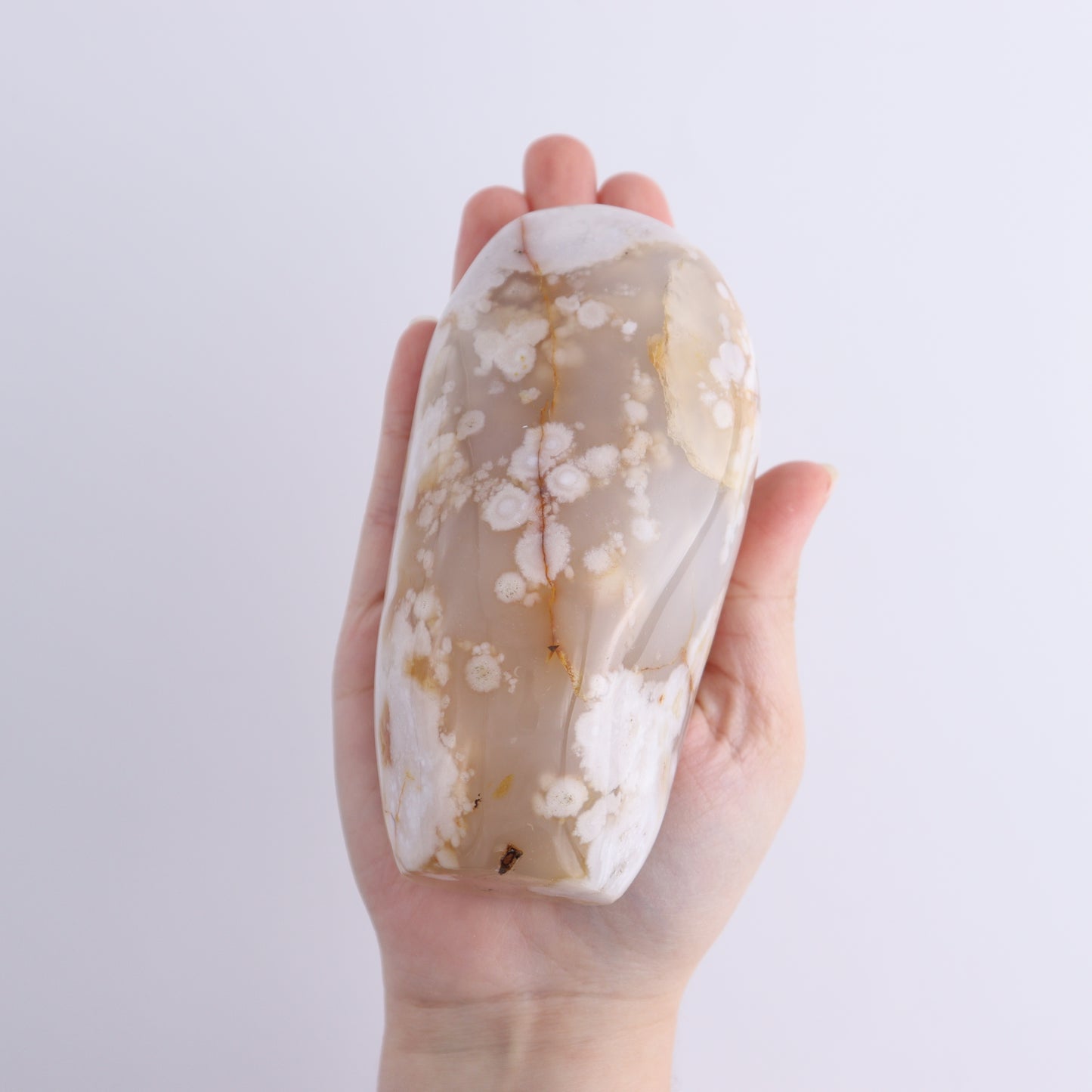 Flower Agate Freeforms Set of 6 - Expert Wholesale and Supplier of Wholesale Crystals & Bulk Gemstones, ["Flower Agate","Freeforms","Madagascar"]