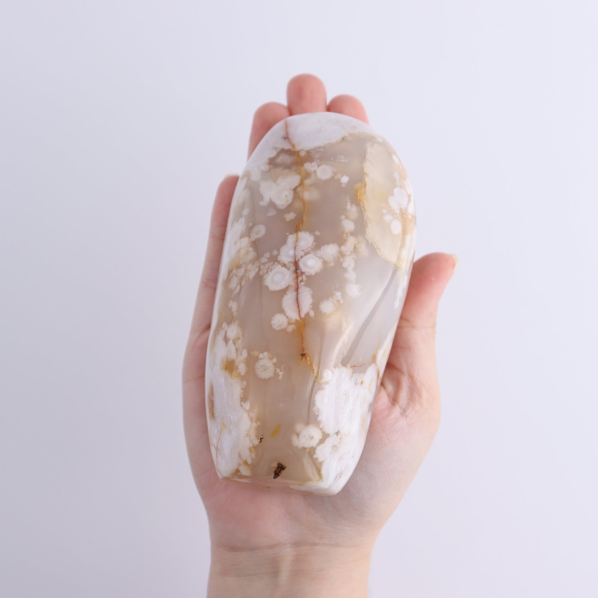 Flower Agate Freeforms Set of 6 - Expert Wholesale and Supplier of Wholesale Crystals & Bulk Gemstones, ["Flower Agate","Freeforms","Madagascar"]