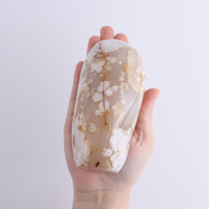 Flower Agate Freeforms Set of 6 - Expert Wholesale and Supplier of Wholesale Crystals & Bulk Gemstones, ["Flower Agate","Freeforms","Madagascar"]