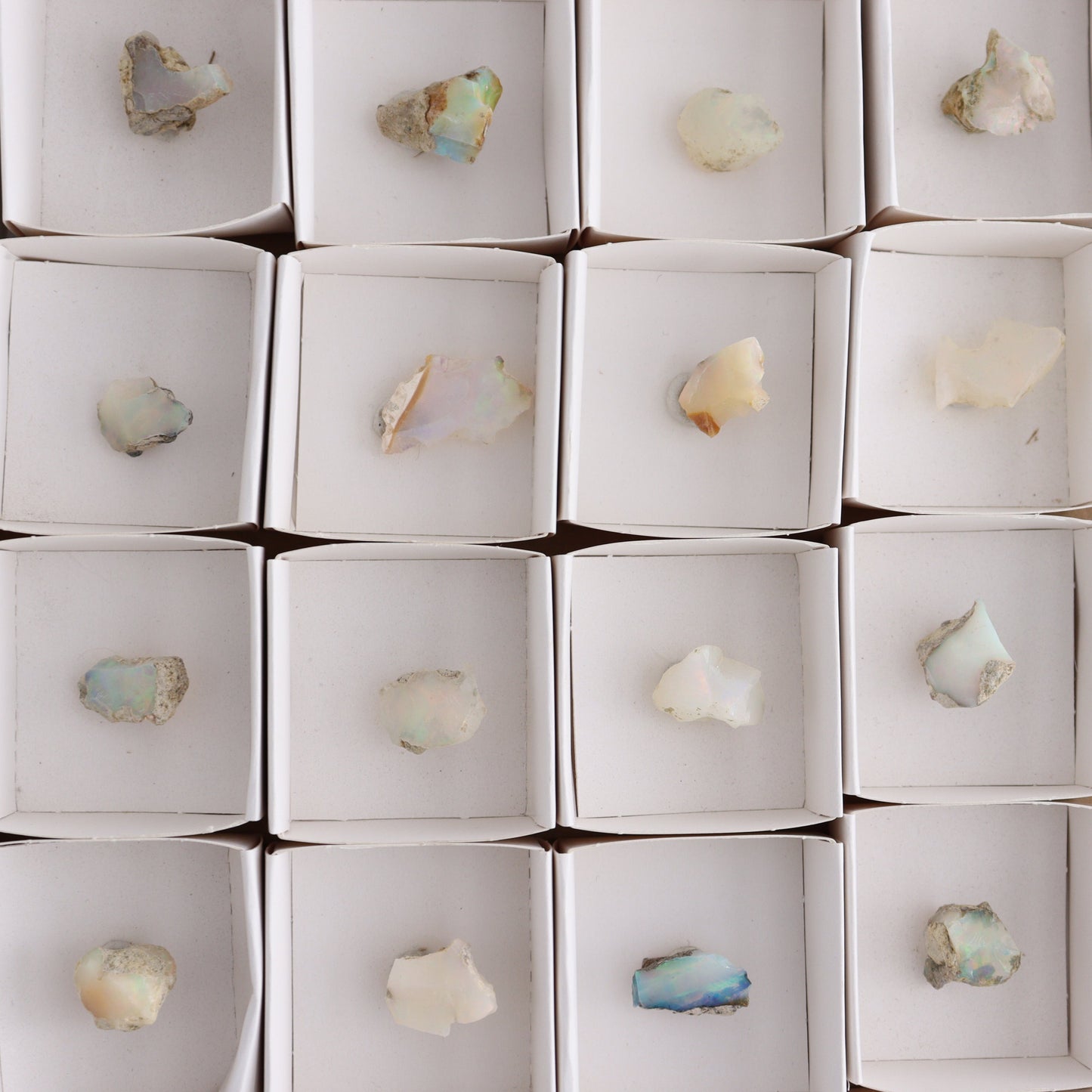 Ethiopian Opal Set of 24 - Expert Wholesale and Supplier of Wholesale Crystals & Bulk Gemstones, ["Ethiopia","ethiopian opal","Opal"]