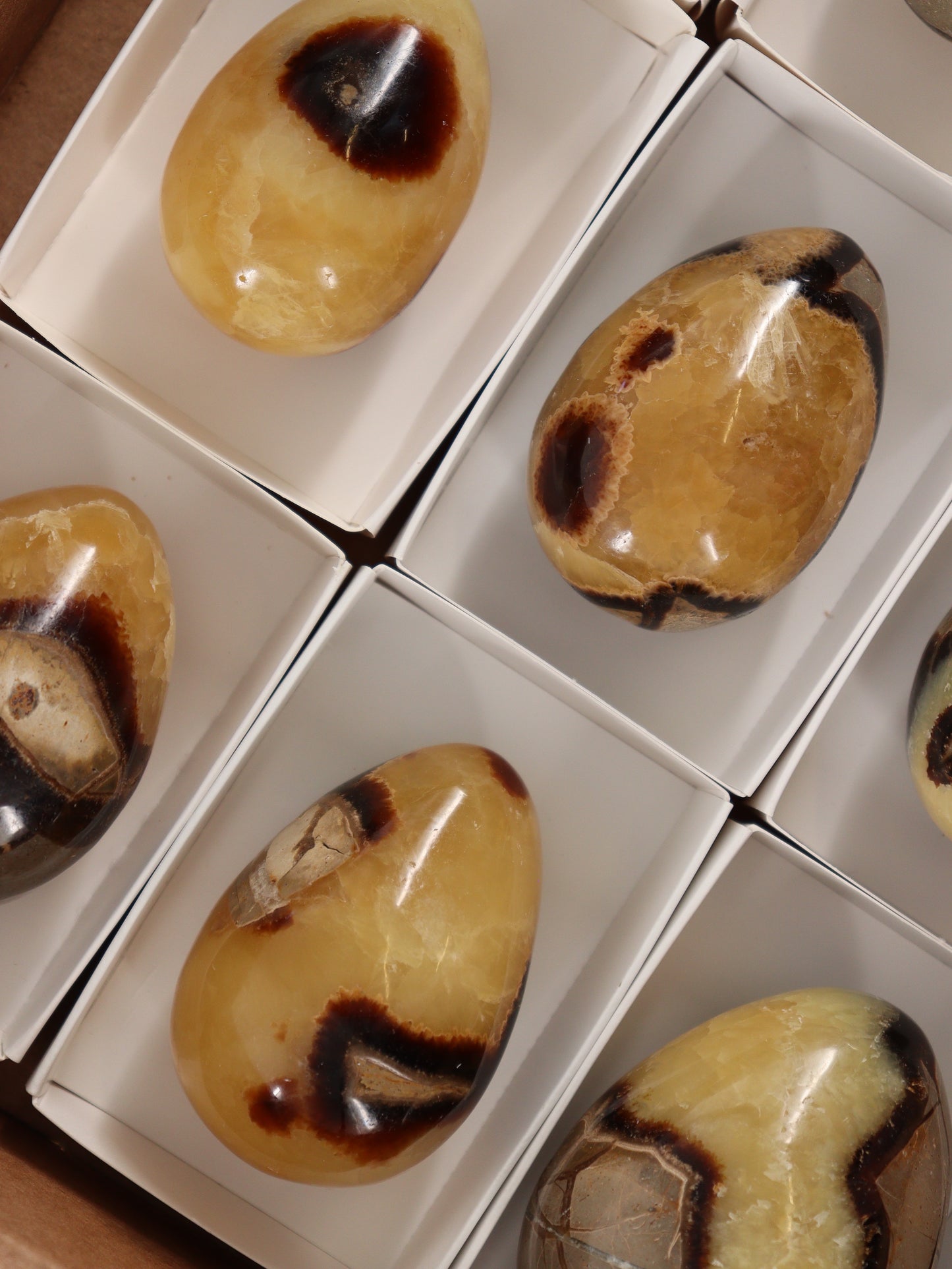Septarian Eggs Set of 9 - Expert Wholesale and Supplier of Wholesale Crystals & Bulk Gemstones, []