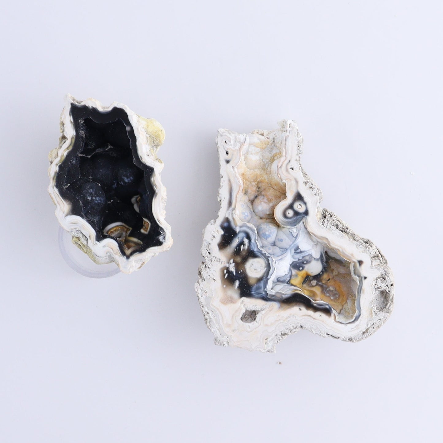 Agatized Coral Flat - Expert Wholesale and Supplier of Wholesale Crystals & Bulk Gemstones, ["Agate","Agatized Coral","Coral","United States"]