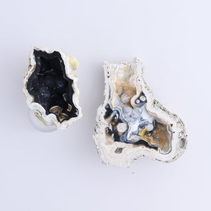 Agatized Coral Flat - Expert Wholesale and Supplier of Wholesale Crystals & Bulk Gemstones, ["Agate","Agatized Coral","Coral","United States"]