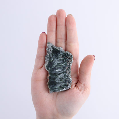 Seraphinite Slices Set of 12