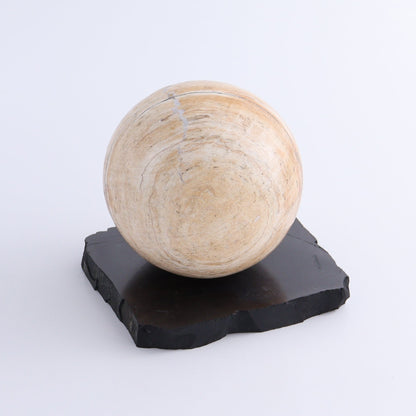 One Shungite Sphere Holder - Expert Wholesale and Supplier of Wholesale Crystals & Bulk Gemstones, ["Russia","Shungite","sphere holder"]