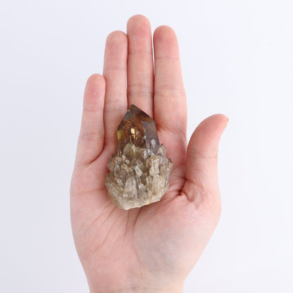 Congo Citrine Set of 35