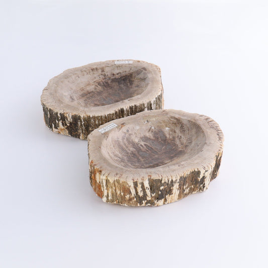 Petrified Wood Bowls Set of 2