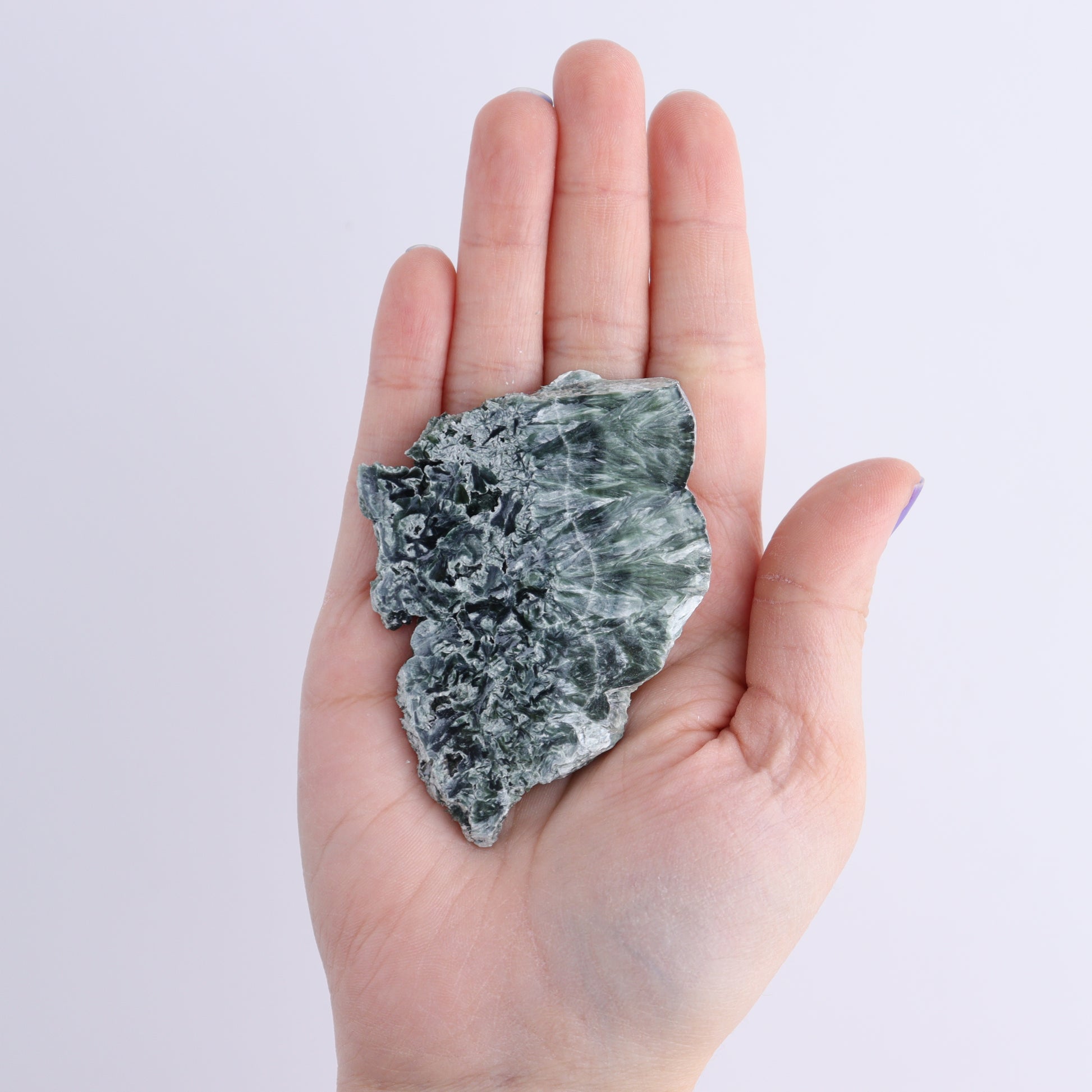 Seraphinite Slices Set of 12 - Expert Wholesale and Supplier of Wholesale Crystals & Bulk Gemstones, ["Russia","Seraphinite","Slices and Slabs"]
