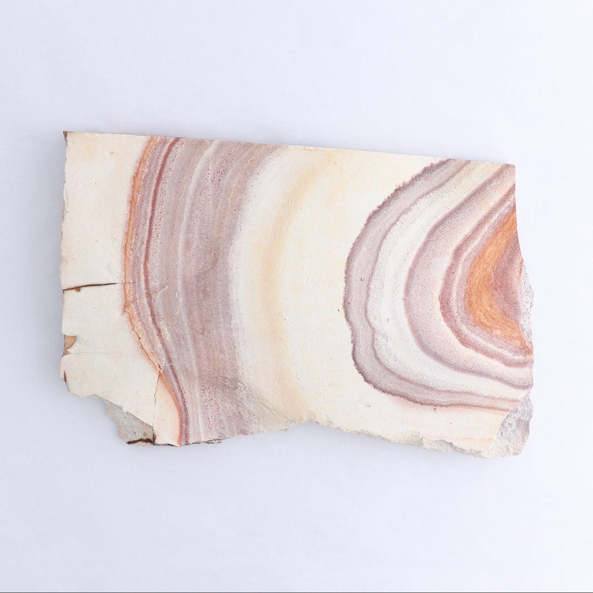 Rhyolite Slabs Set of 2