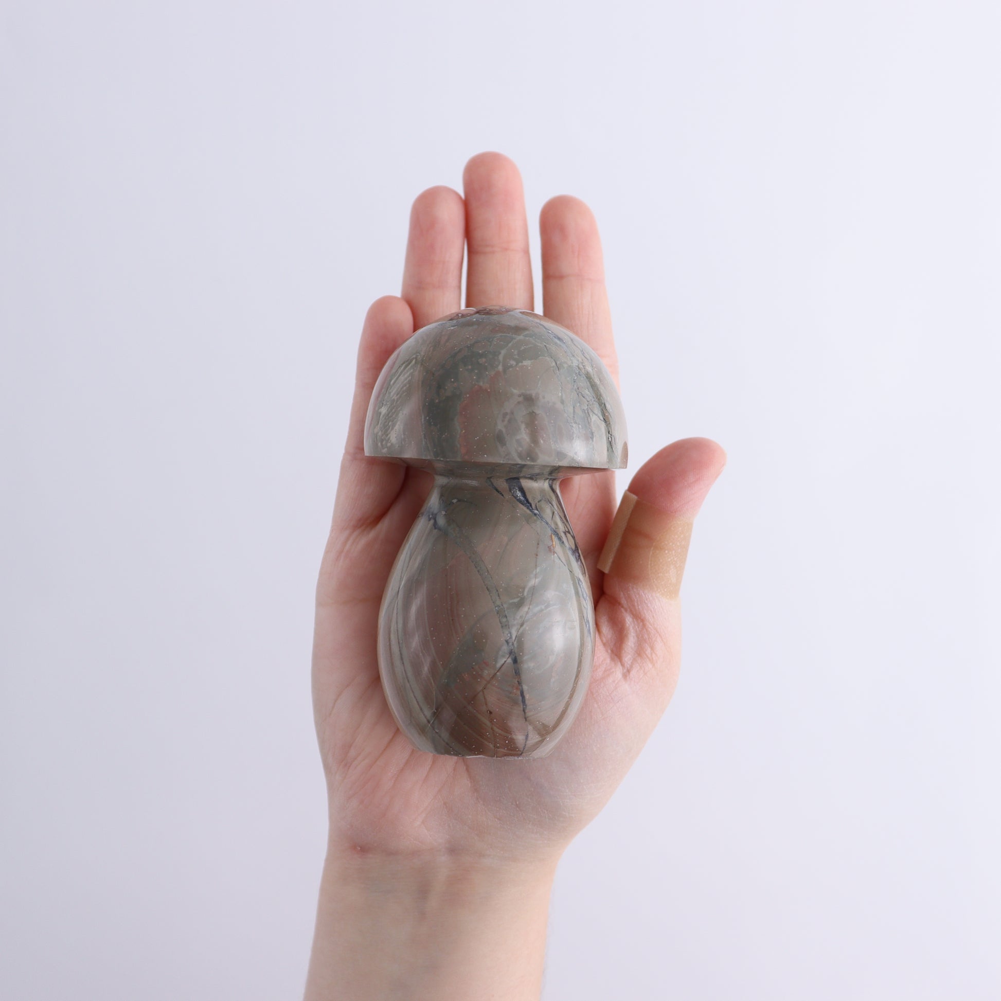 Polychrome Jasper Mushrooms Set of 4 - Expert Wholesale and Supplier of Wholesale Crystals & Bulk Gemstones, ["jasper","Madagascar","Polychrome Jasper"]