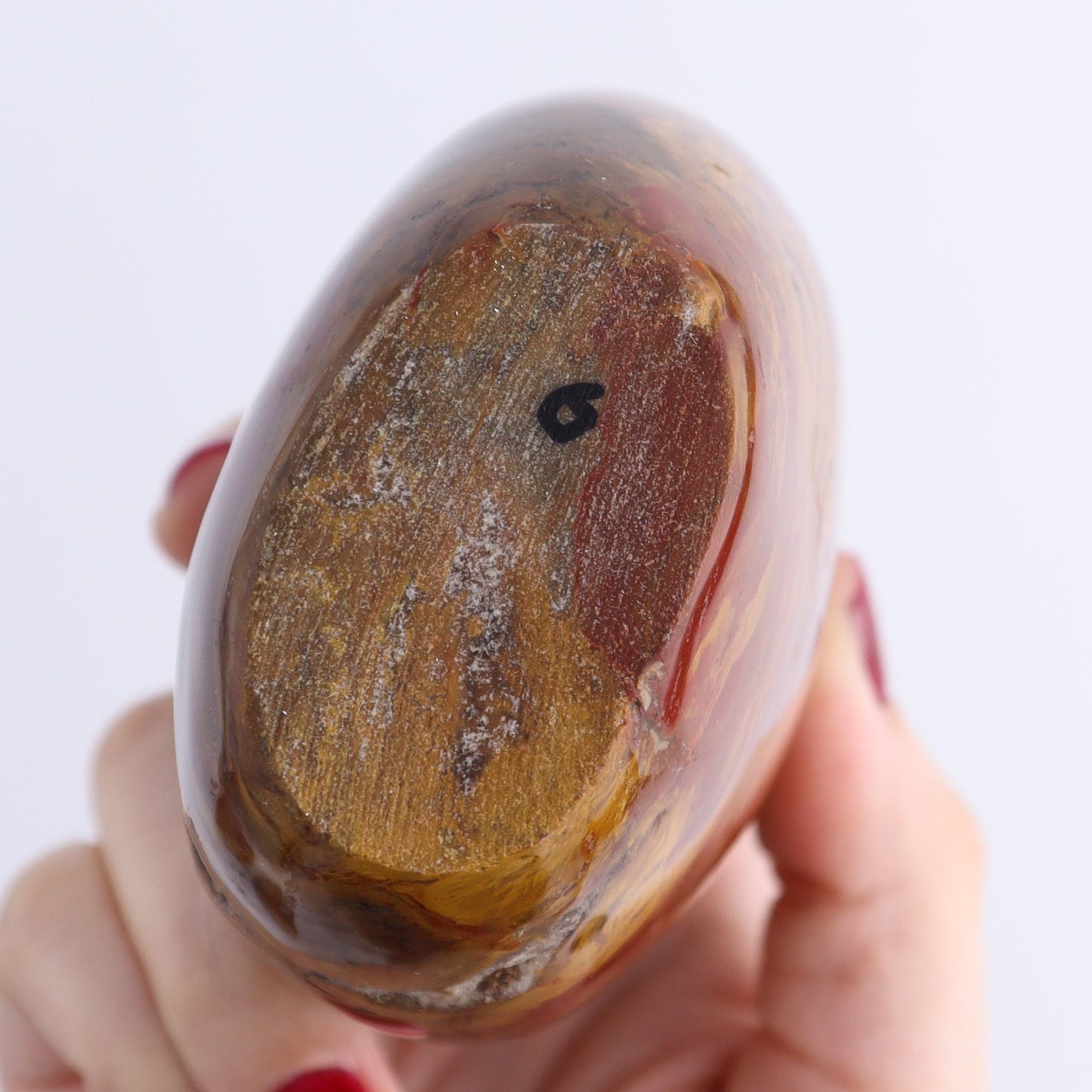 Petrified Wood Freeforms Set of 6 - Expert Wholesale and Supplier of Wholesale Crystals & Bulk Gemstones, ["Freeform","Freeforms","Madagascar","Petrified Wood"]