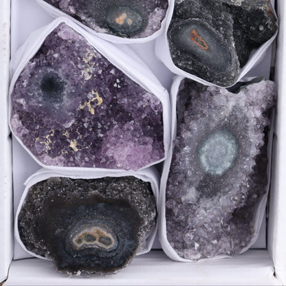 Uruguay Amethyst Clusters with "Eyes" Flat of 8 - Expert Wholesale and Supplier of Wholesale Crystals & Bulk Gemstones, []