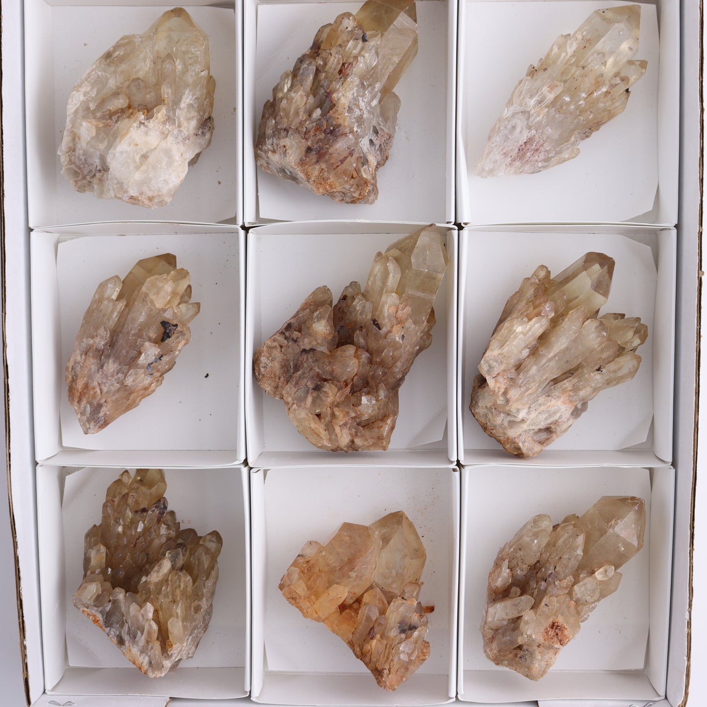 Congo Citrine Set of 12