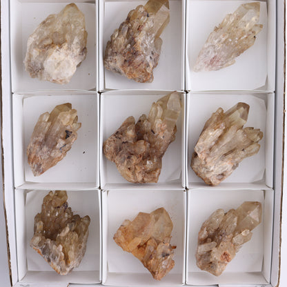 Congo Citrine Set of 12