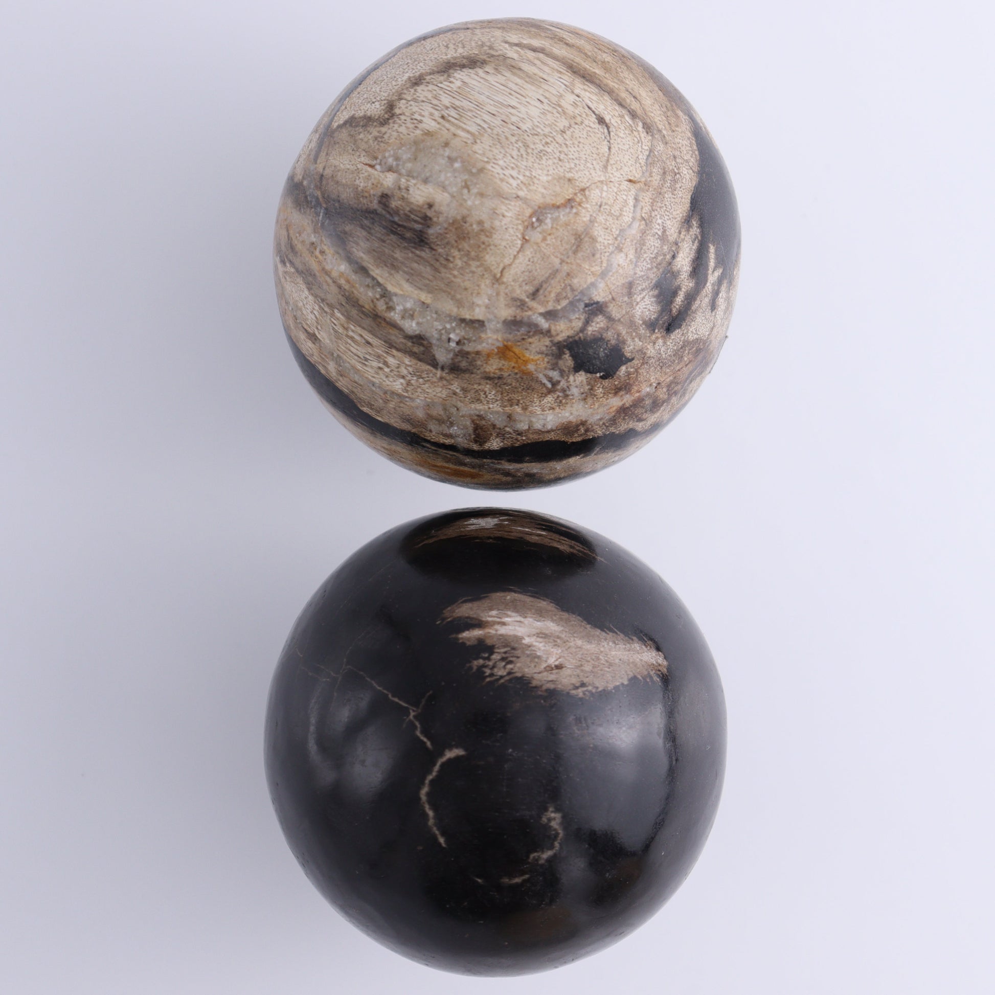 Petrified Wood Spheres Set of 4 - Expert Wholesale and Supplier of Wholesale Crystals & Bulk Gemstones, ["Indonesia","Petrified Wood","Spheres"]