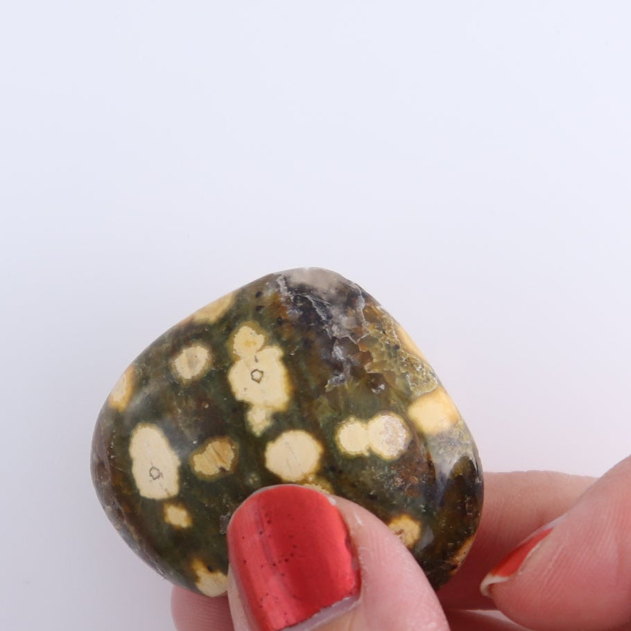 Ocean Jasper Hearts Set of 10