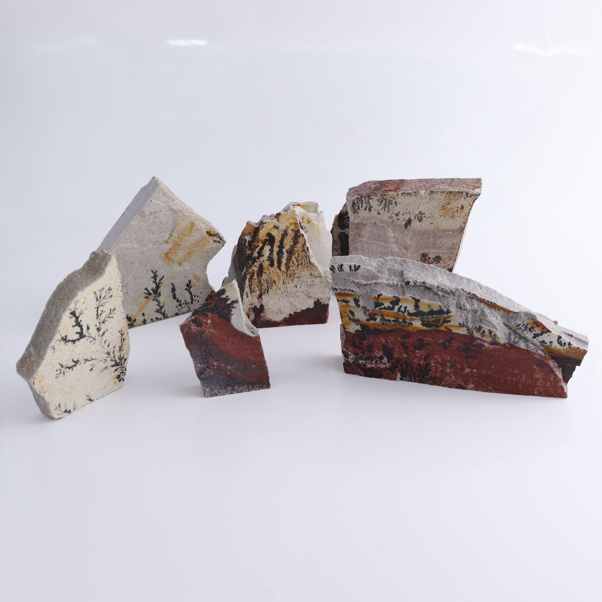 Dendrites Flat Set of 6 - Expert Wholesale and Supplier of Wholesale Crystals & Bulk Gemstones, ["Dendrite","Flats"]