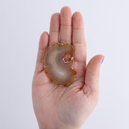 Iris Agate Slices Set of 8 - Expert Wholesale and Supplier of Wholesale Crystals & Bulk Gemstones, ["Agate","Iris Agate","Slices and Slabs"]