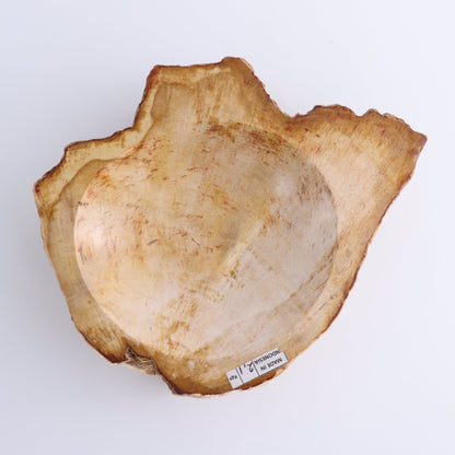 Petrified Wood Bowls Set of 2 - Expert Wholesale and Supplier of Wholesale Crystals & Bulk Gemstones, ["Bowls","Indonesia","Petrified Wood"]
