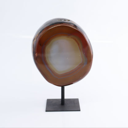 Agate on Pins Set of 4 - Expert Wholesale and Supplier of Wholesale Crystals & Bulk Gemstones, ["Agate","Brazil","close_50","On Pins"]