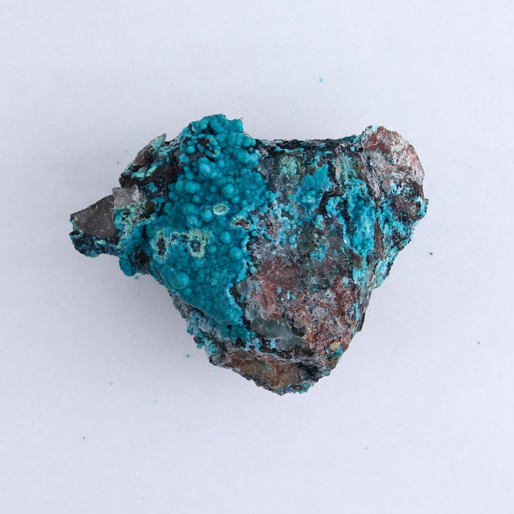 Chrysocolla on Quartz Roughs Set of 6