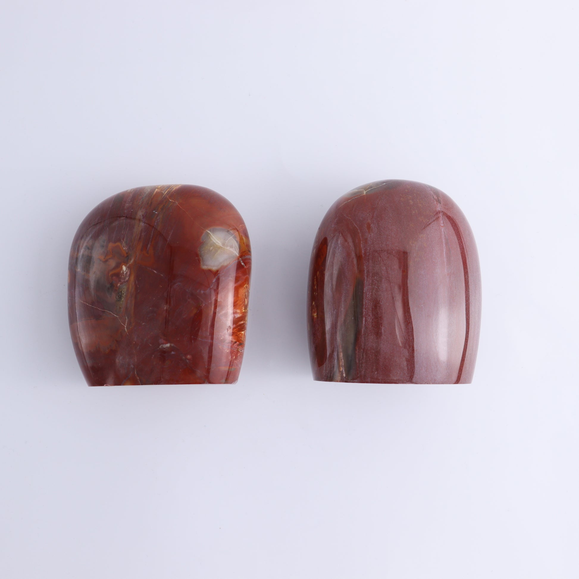 Petrified Wood Freeform Set of 3 - Expert Wholesale and Supplier of Wholesale Crystals & Bulk Gemstones, ["Freeforms","Madagascar","Petrified Wood"]