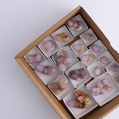 Cactus Quartz Set of 18 - Expert Wholesale and Supplier of Wholesale Crystals & Bulk Gemstones, ["cactus quartz","Quartz","South Africa"]