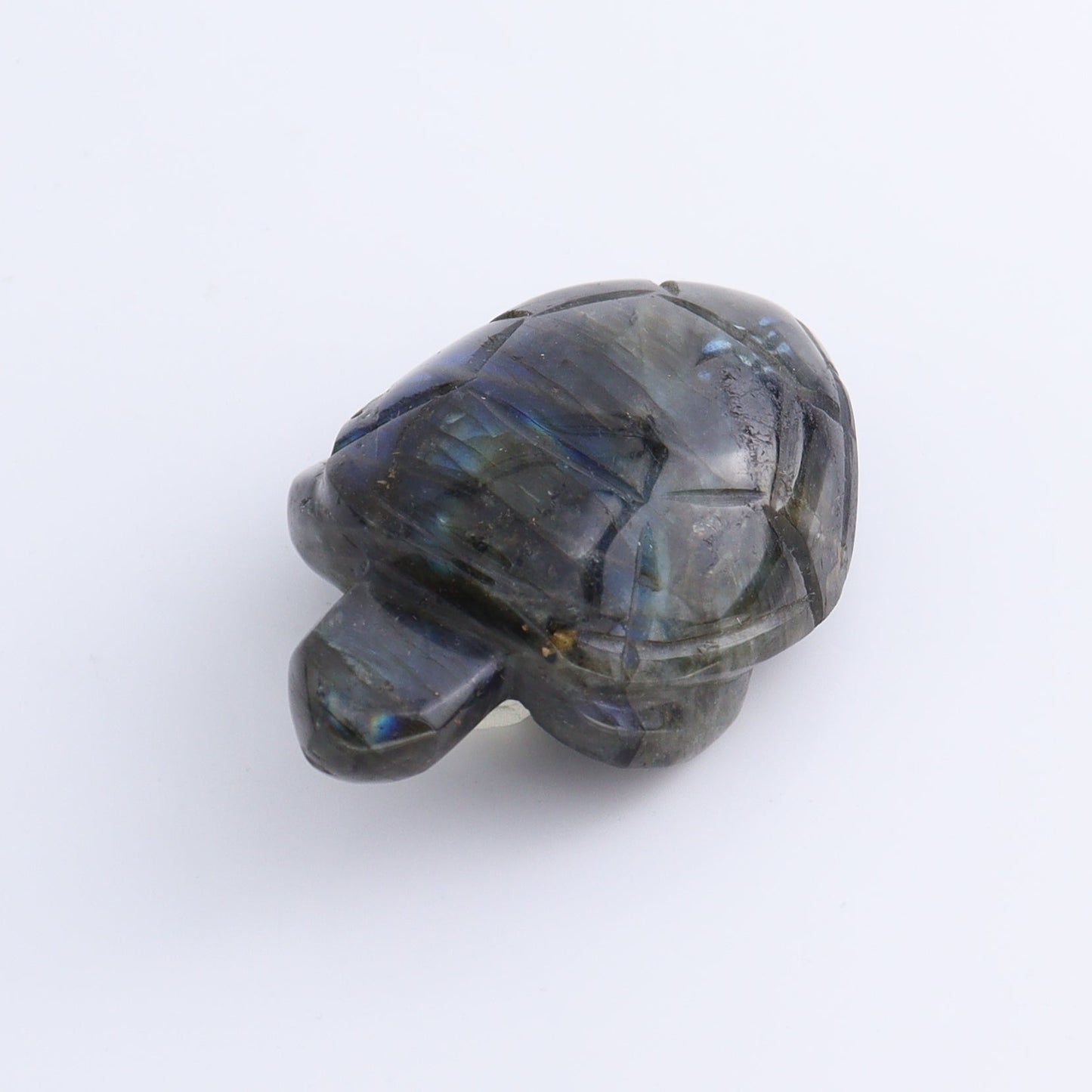 Labradorite Turtles Set of 5