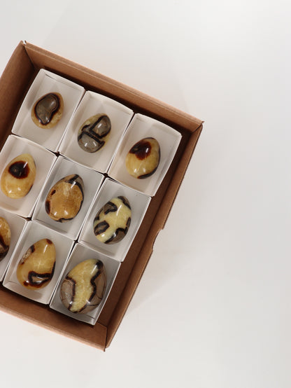 Septarian Eggs Set of 9 - Expert Wholesale and Supplier of Wholesale Crystals & Bulk Gemstones, []