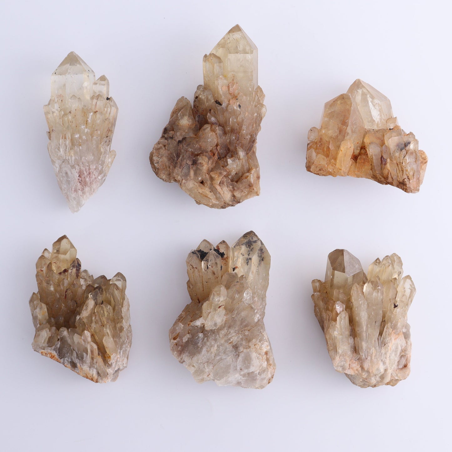 Congo Citrine Set of 12