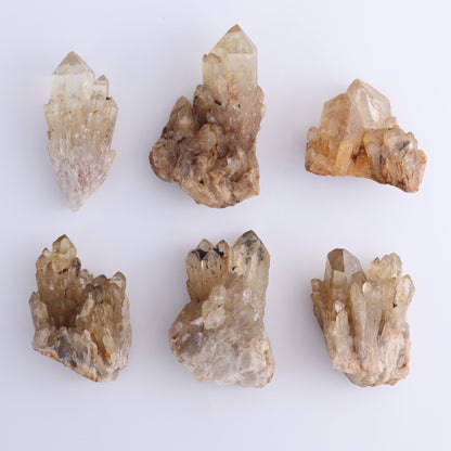 Congo Citrine Set of 12