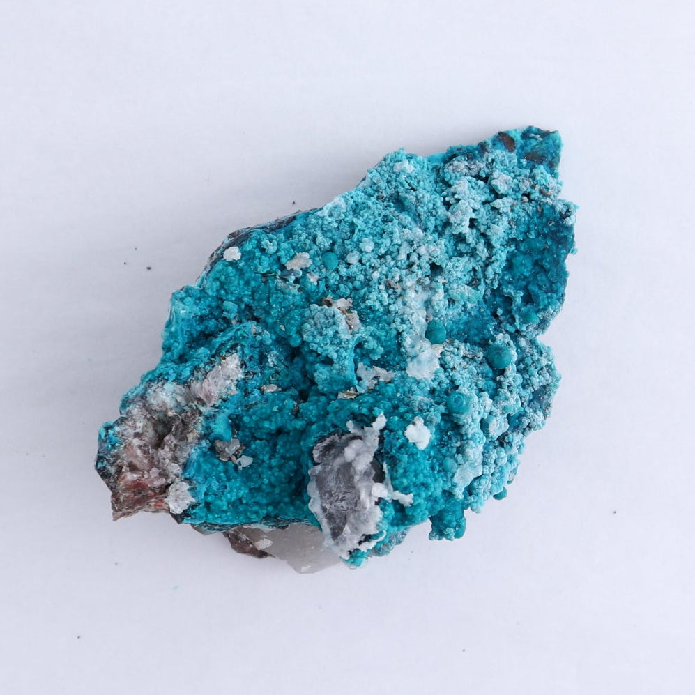 Chrysocolla on Quartz Roughs Set of 6
