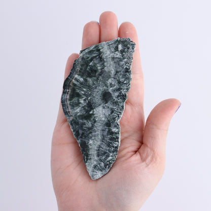 Seraphinite Slices Set of 12 - Expert Wholesale and Supplier of Wholesale Crystals & Bulk Gemstones, ["Russia","Seraphinite","Slices and Slabs"]