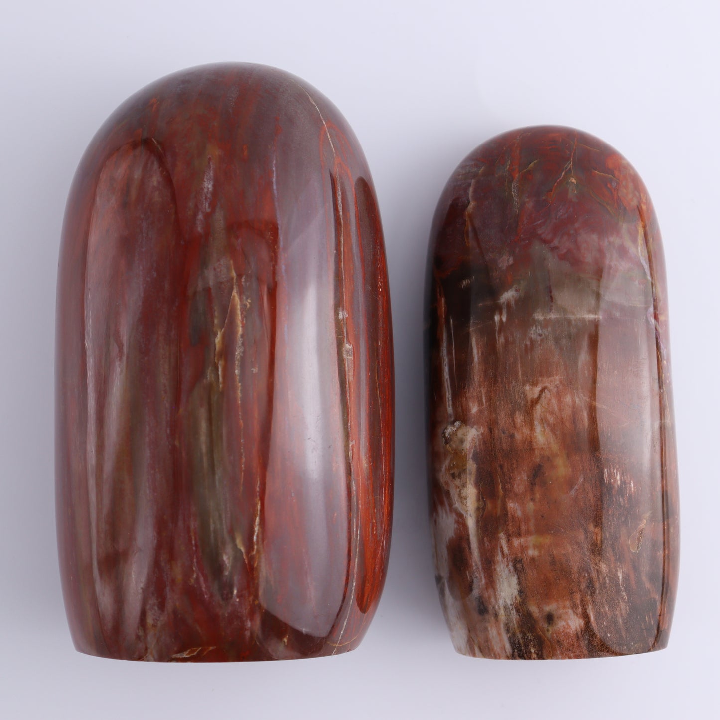 Petrified Wood Freeform Set of 2 - Expert Wholesale and Supplier of Wholesale Crystals & Bulk Gemstones, ["Freeforms","Madagascar","Petrified Wood"]