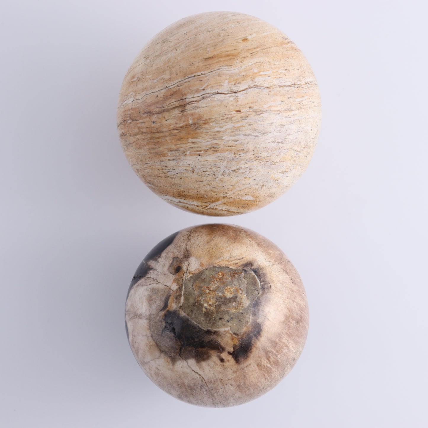 Petrified Wood Spheres Set of 4 - Expert Wholesale and Supplier of Wholesale Crystals & Bulk Gemstones, ["Indonesia","Petrified Wood","Spheres"]