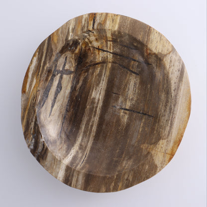 Petrified Wood Bowl - Expert Wholesale and Supplier of Wholesale Crystals & Bulk Gemstones, ["Bowls","Indonesia","Petrified Wood"]