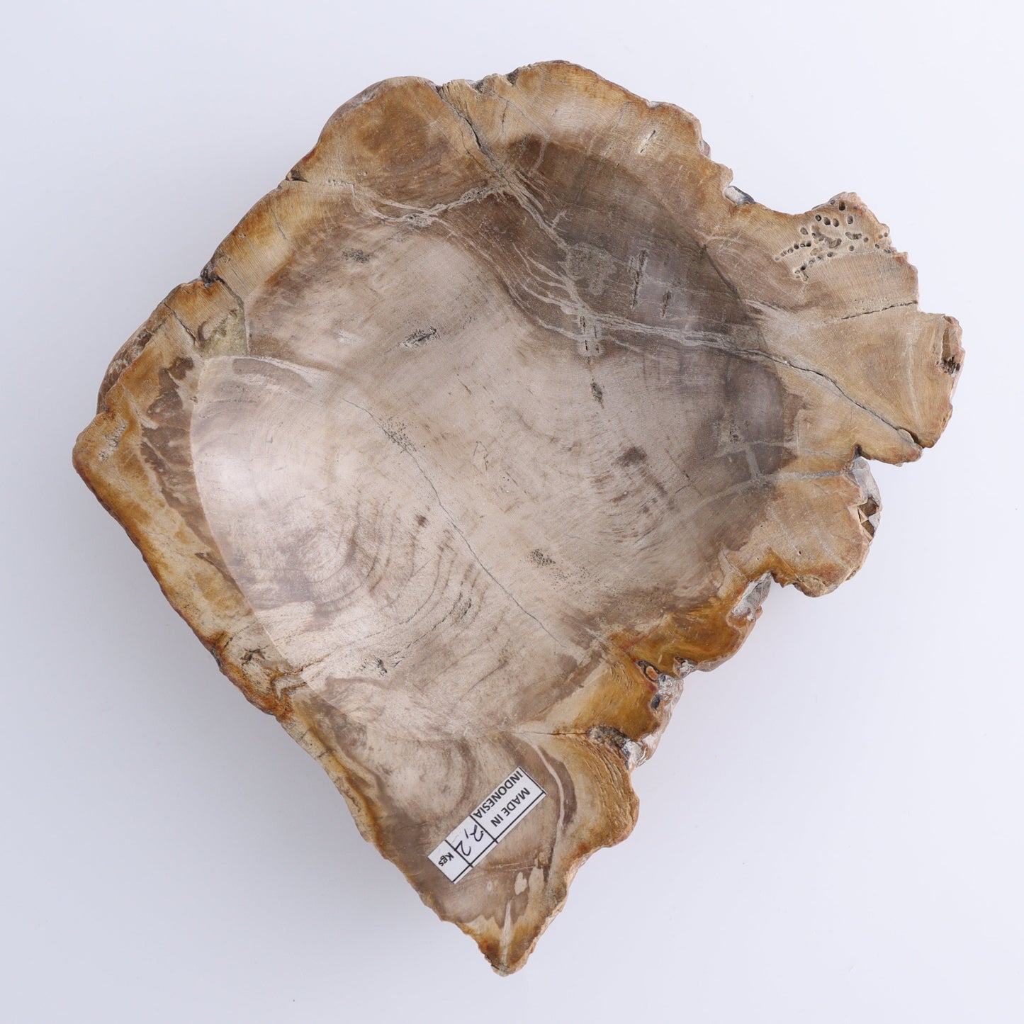 Petrified Wood Bowls Set of 2 - Expert Wholesale and Supplier of Wholesale Crystals & Bulk Gemstones, ["Bowls","Indonesia","Petrified Wood"]