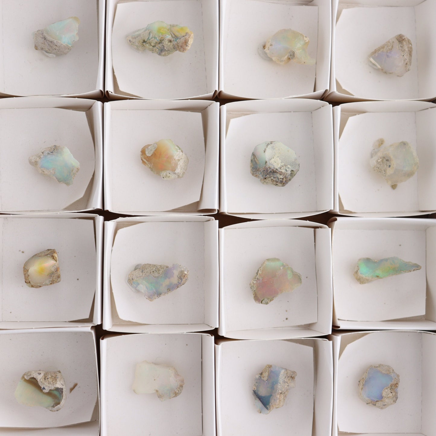 Ethiopian Opal Set of 24 - Expert Wholesale and Supplier of Wholesale Crystals & Bulk Gemstones, ["Ethiopia","ethiopian opal","Opal"]